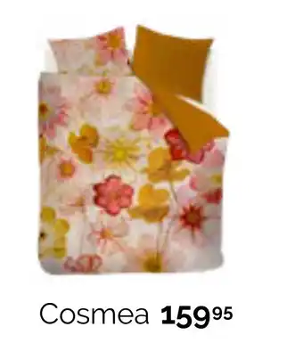 Beter Bed Cosmea aanbieding