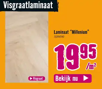 Hornbach Laminaat "Millenium" aanbieding