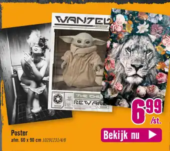 Hornbach Poster aanbieding