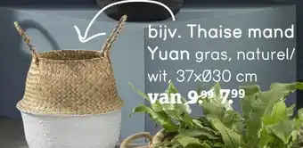 Leen Bakker Thaise mand Yuan aanbieding