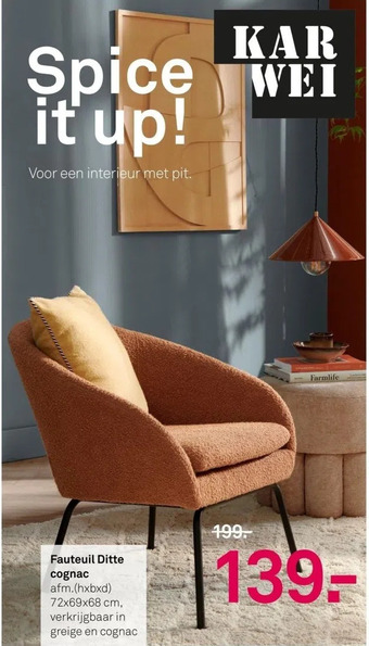 Karwei Fauteuil ditte cognac aanbieding