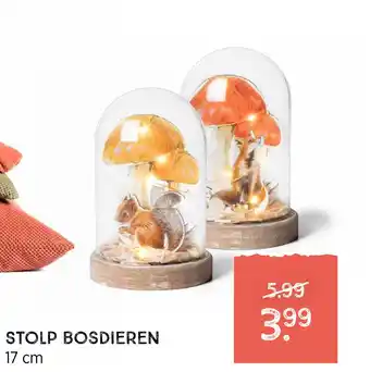 Xenos Stolp Bosdieren aanbieding