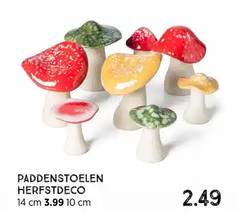 Xenos Paddenstoelen Kerfstdeco aanbieding