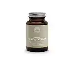 De Online Drogist Mattisson healthstyle mattisson biologisch chaga extract capsules 60cp aanbieding