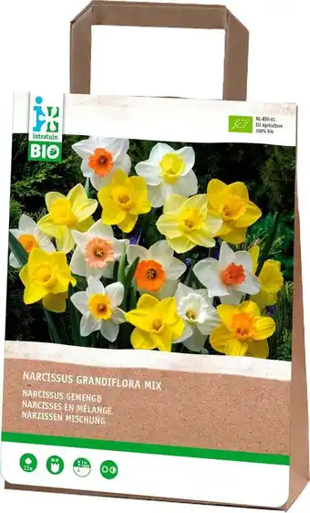Intratuin Intratuin biologische bloembollen narcis (narcissus grandiflora) gemengd 15 stuks aanbieding