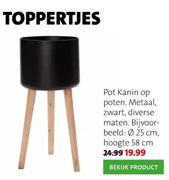 Intratuin Pot Kanin op Poten. Metaal, zwart, diverse mate. Bijvoorbeeld aanbieding