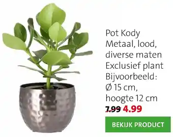 Intratuin Pot Kody Metaal, lood, diverse maten Exclusief plant Bijvoorbeeld aanbieding