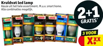 Kruidvat Kruidvat led lamp aanbieding