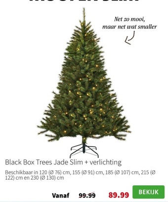 Intratuin Black box trees jade slim + verlichting aanbieding