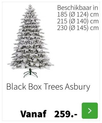 Intratuin Black box trees asbury aanbieding