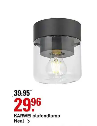 Karwei Karwei Plafondlamp Neal aanbieding