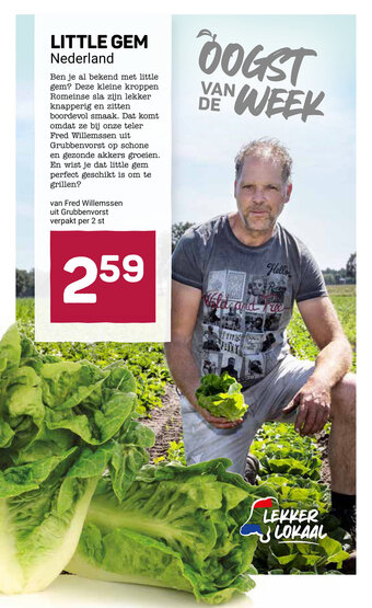 Ekoplaza LITTLE GEM Nederland aanbieding