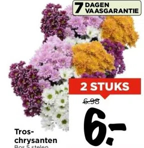 Vomar Voordeelmarkt Tros chrysanten aanbieding