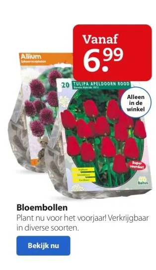 Boerenbond Bloembollen aanbieding