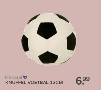 Prenatal Prénatal aanbieding