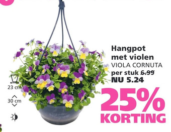 Ranzijn Hangpot met violen viola cornuta aanbieding