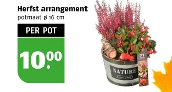 Poiesz Herfst arrangement aanbieding