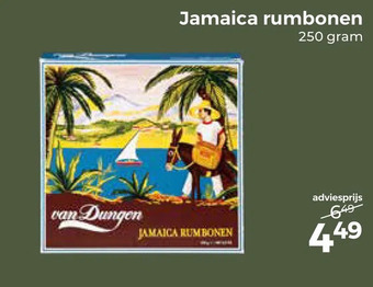 Trekpleister Jamaica rumbonen aanbieding