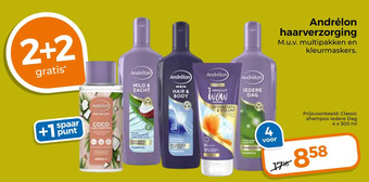 Trekpleister Andrélon haarverzorging aanbieding