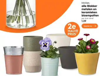 Blokker Alle Blokker metalen en keramieken bloempotten aanbieding