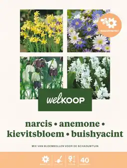 Welkoop Florex bloembollen pakket gemengd schaduwtuin - bloembollen - 40 stuks aanbieding