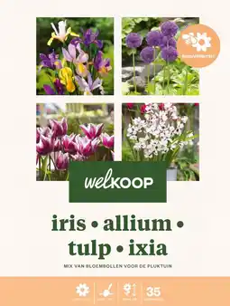 Welkoop Florex bloembollen pakket gemengd snijbloementuin - bloembollen - 40 stuks aanbieding