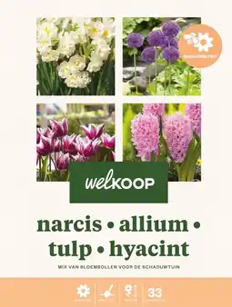 Welkoop Florex bloembollen pakket gemengd geurende bloemen - bloembollen - 33 stuks aanbieding