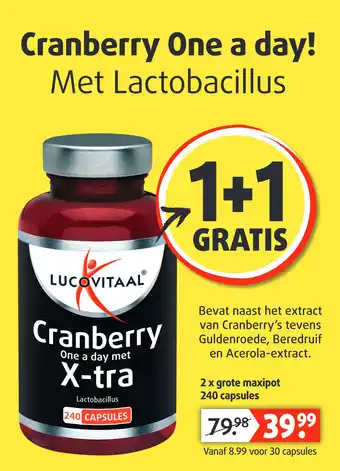 Lucovitaal Cranberry one a day met x-tra aanbieding