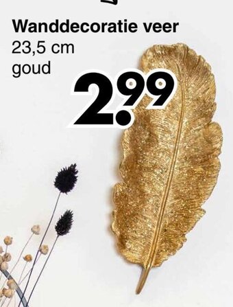 Wibra Wanddecoratie veer 23,5 cm goud aanbieding