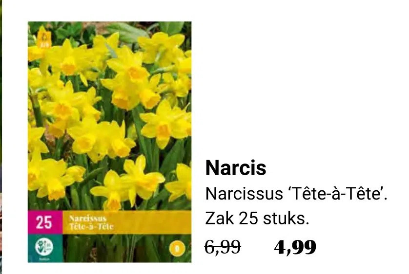 Narcis aanbieding bij Tuincentrum Osdorp