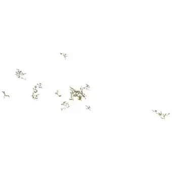 Conrad Busch 3474 gras-assortiment late herfst aanbieding