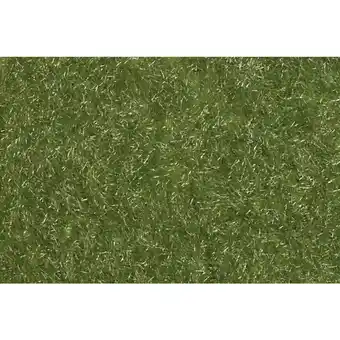 Conrad Busch 3483 gras-assortiment vroege herfst aanbieding