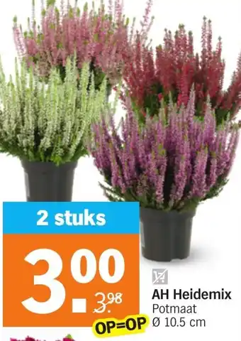 Albert Heijn AH Heidemix 10.5cm aanbieding