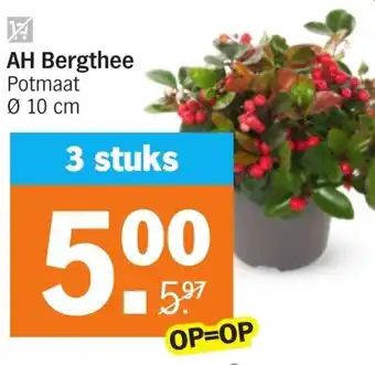 Albert Heijn AH Bergthee 10cm aanbieding