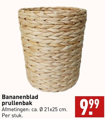 ALDI Bananenblad prullenbak aanbieding