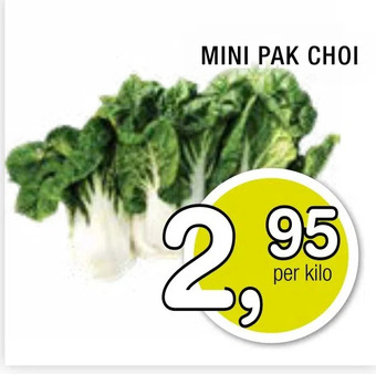 Amazing Oriëntal Mini pak choi aanbieding