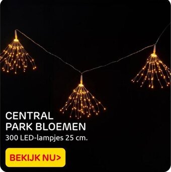 Praxis CENTRAL PARK BLOEMEN 300 LED-lampjes 25 cm. aanbieding