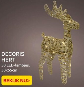 Praxis DECORIS HERT 50 LED-lampjes. 30x55cm aanbieding