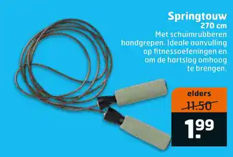 Trekpleister Springtouw aanbieding