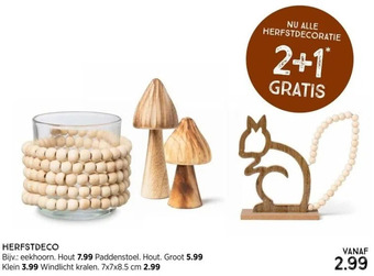 Xenos Herfstdeco aanbieding