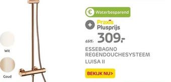 Praxis Essebagno regendouchesysteem luisa ii aanbieding