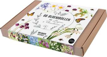 Intratuin Florex bloembollen geschenkdoos wit paars geel 66 stuks aanbieding