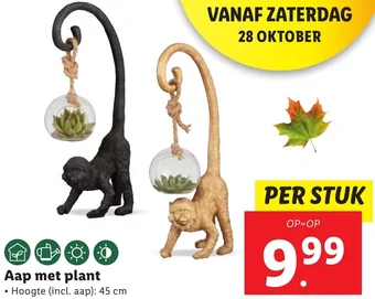 Lidl Aap met plant Hoogte (incl. aap): 45 cm aanbieding