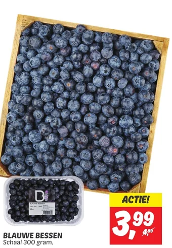 Dekamarkt BLAUWE BESSEN Schaal 300 gram. aanbieding