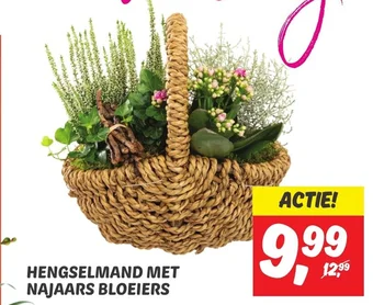 Dekamarkt HENGSELMAND MET NAJAARS BLOEIERS aanbieding