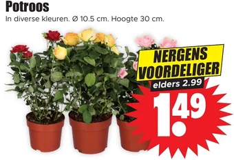 Dirk Potroos aanbieding