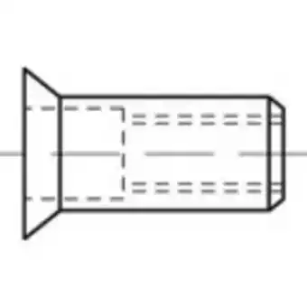 Conrad Toolcraft to-5444274 blindklinkmoer m10 staal 100 stuk(s) aanbieding