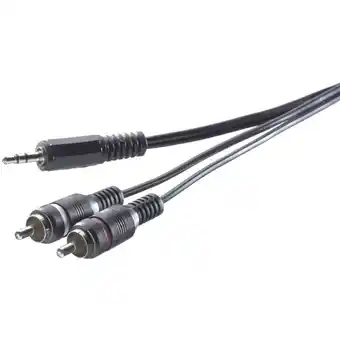 Conrad Speaka professional sp-1300900 cinch / jackplug audio aansluitkabel [2x cinch-stekker - 1x jackplug male 3,5 mm] 3.00 m grijs aanbieding