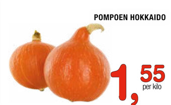 Amazing Oriëntal Pompoen Hokkaido aanbieding