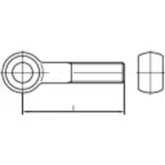 Conrad Toolcraft to-5357805 oogbouten m24 90 mm din 444 rvs a2 1 stuk(s) aanbieding